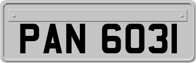PAN6031