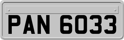 PAN6033