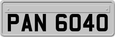 PAN6040