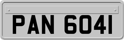 PAN6041
