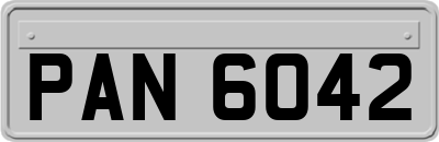 PAN6042