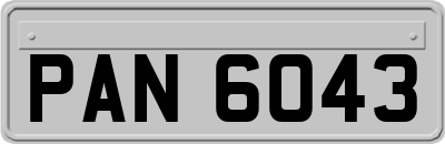 PAN6043