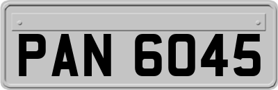 PAN6045
