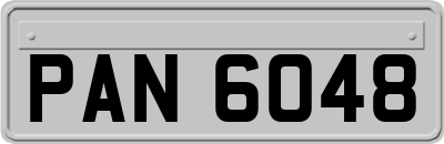 PAN6048