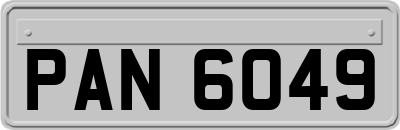 PAN6049