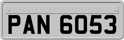 PAN6053