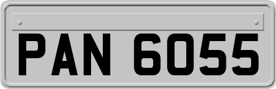 PAN6055