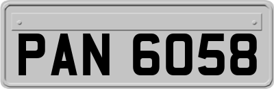 PAN6058