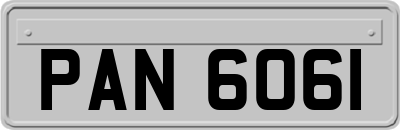 PAN6061
