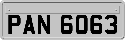 PAN6063