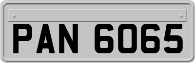 PAN6065