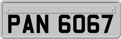 PAN6067