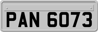 PAN6073