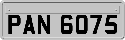 PAN6075