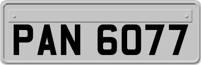 PAN6077