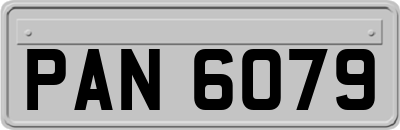 PAN6079