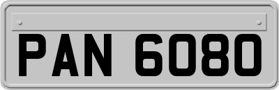 PAN6080