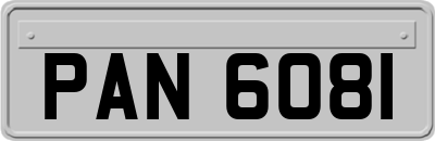 PAN6081