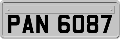 PAN6087