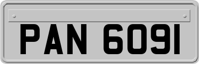 PAN6091
