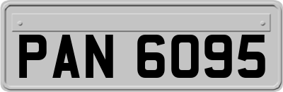 PAN6095