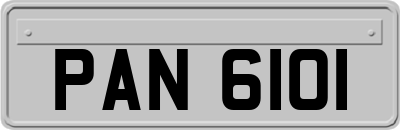 PAN6101