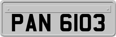 PAN6103