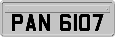 PAN6107