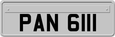 PAN6111