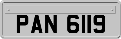 PAN6119