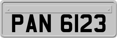 PAN6123