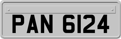 PAN6124