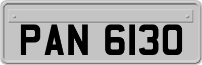 PAN6130