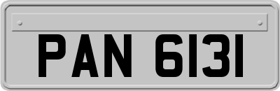 PAN6131