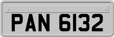 PAN6132