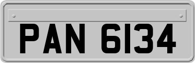 PAN6134