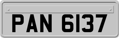 PAN6137