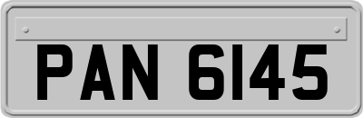 PAN6145