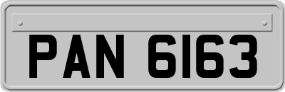 PAN6163