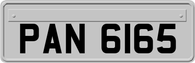 PAN6165