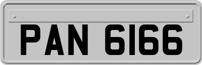 PAN6166