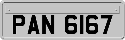 PAN6167