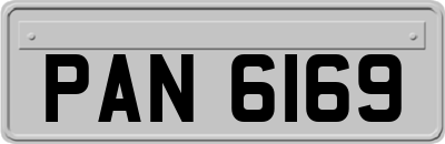 PAN6169