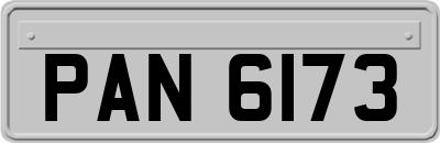 PAN6173