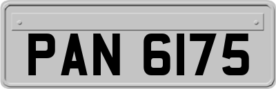PAN6175