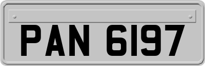 PAN6197