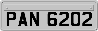PAN6202
