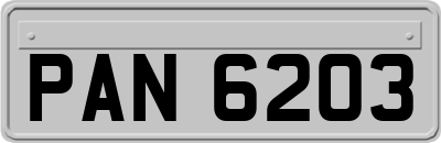 PAN6203