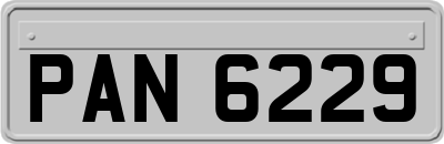 PAN6229