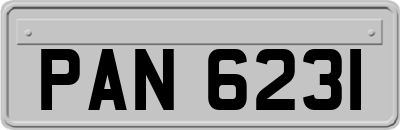 PAN6231